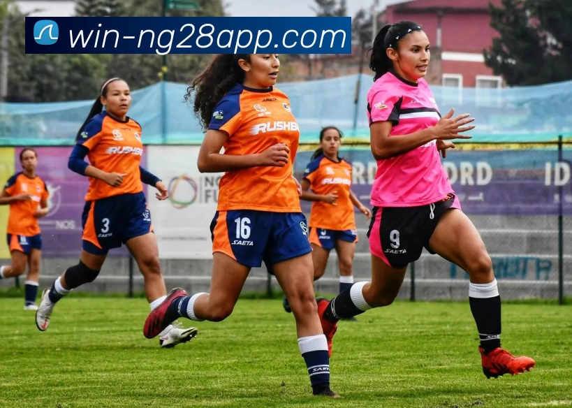 南宫体育APP 封面图